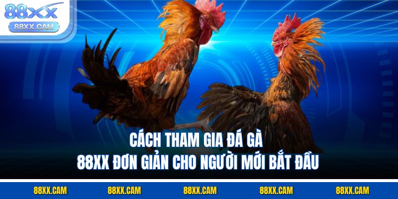 Cách tham gia đá gà 88XX đơn giản cho người mới bắt đầu